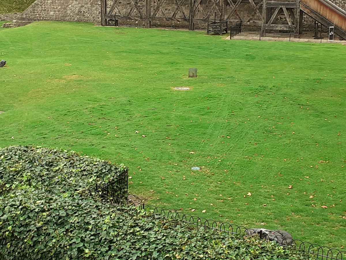 ExBeefeaterDave's tweet image. @Williams76David I think you need to re-program #RoboChop
The #UnionFlag 🇬🇧 design on the South Lawn isn&apos;t really working 😉🤣