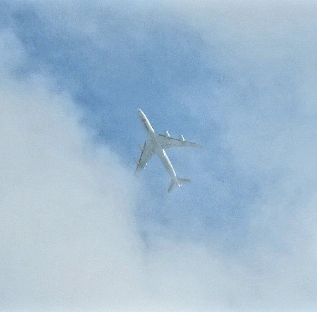 BloodyPolitics's tweet photo. There's a blanket of thick fog then a patch of blue sky appears. Perfect timing.✈

Cargolux LX-VCJ to LAX
#CLX37B #AVgeek https://t.co/7qOzKSxoKF