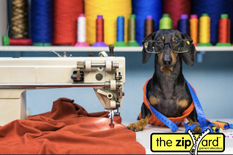 Happy #internationaldogday ! 🐶