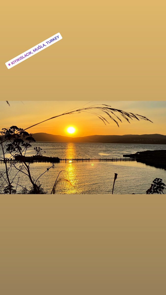 Gerekirse aç kal, ama asla taklitçi güneş olma.