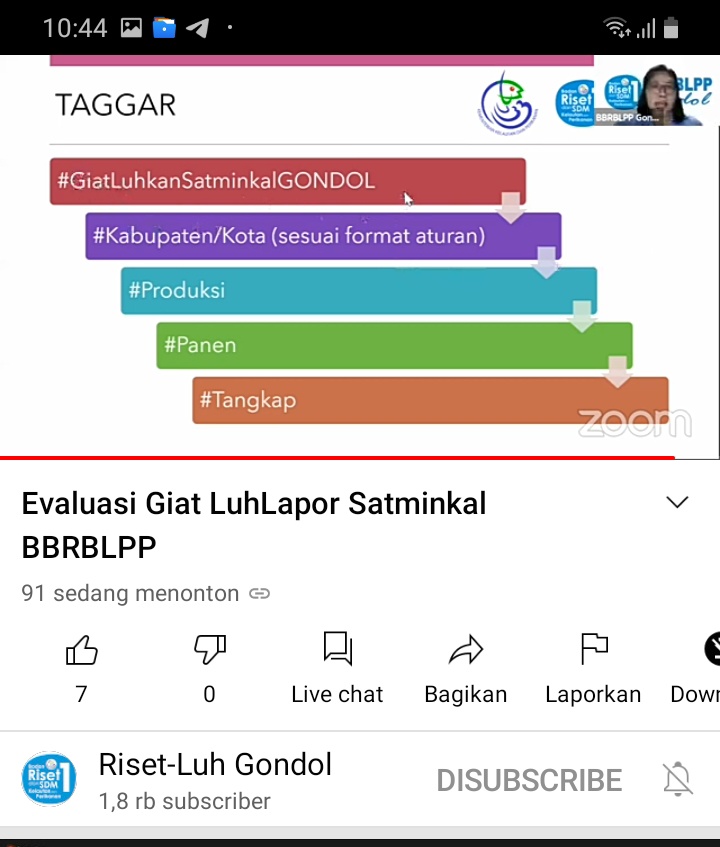 AntoniaWangu's tweet photo. Kamis,26 Agustus 2021,Antonia Trivonia Wangu,PPB Kab.Ende, Mengikuti kegiatan Evaluasi Giat LuhLapor Satminkal BBRBLPP
#GiatLuhkanSatminkalGONDOL 
#KabEnde
@puslatluhkp 
@RISET_GONDOL https://t.co/mrE5IynyqO