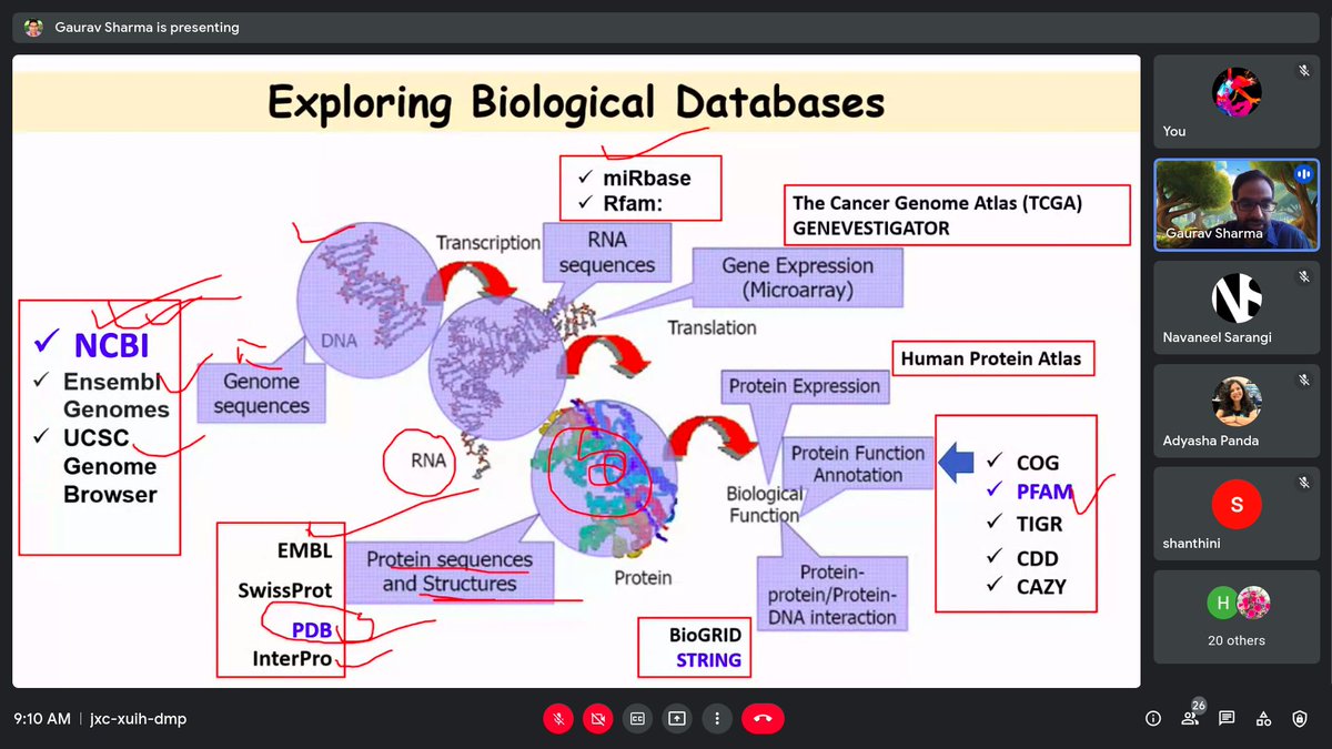 MurthySneha's tweet photo. Day-2 of the Hands-on Online Workshop on "Fundamentals of NGS Analysis and Drug Discovery"
We begin with Session 1 on Introduction to Biological Databases, exploring @NCBI
and the pivotal role they play in our Biological Data Management and Analysis
@official_ibab
@sharmaG30 https://t.co/Xb9GRJ5VZP