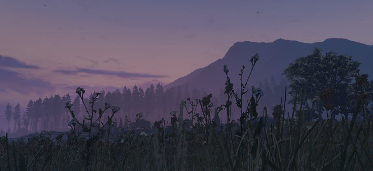 monetesrp's tweet photo. Aún podéis uniros al Discord para comenzar una nueva aventura en la ciudad, ¿Qué estás esperando? https://t.co/rhSnL2sRd1
#servidordeGTA #roleplayer #gtav #gtavroleplay #twitch #twitchenlinea #gamers #GTA5 #GTAROLEPLAY #GTA #GTARP https://t.co/VrQqB8Y1CW