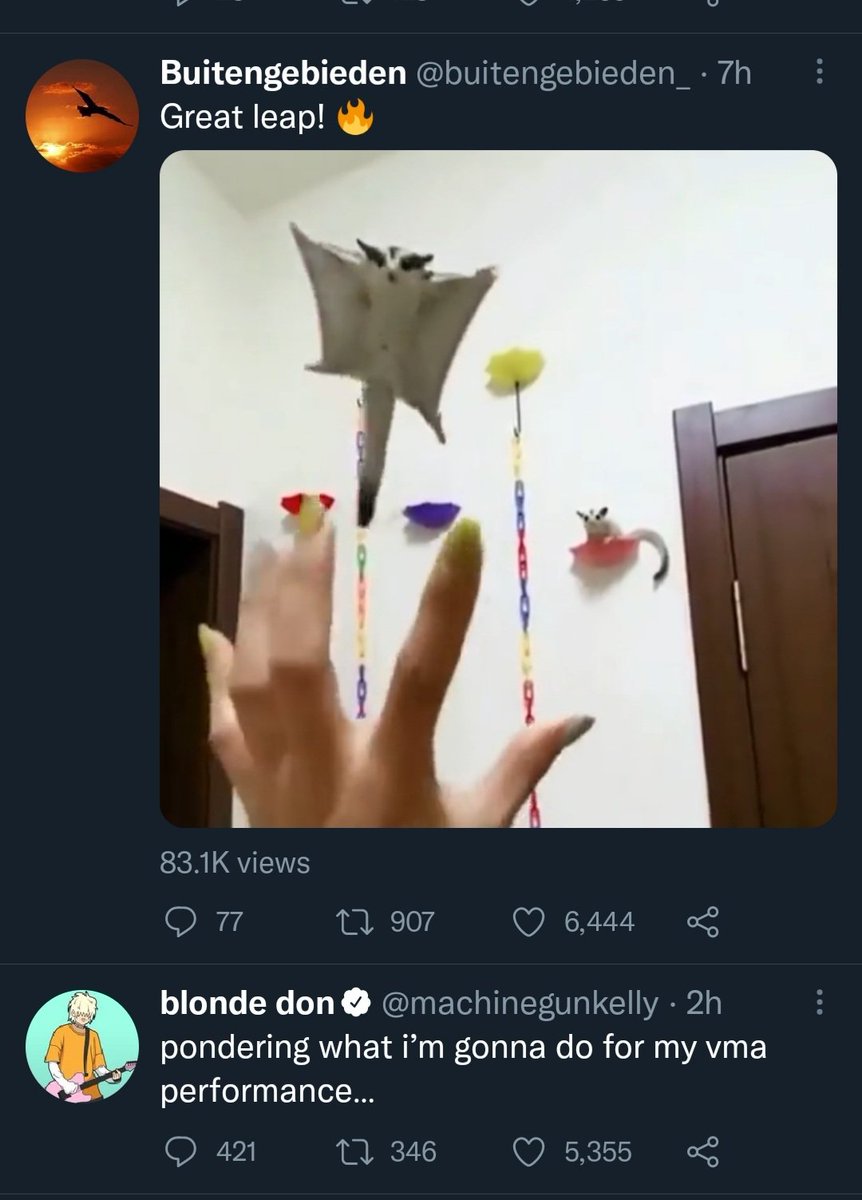 Monica Hurd tweet media