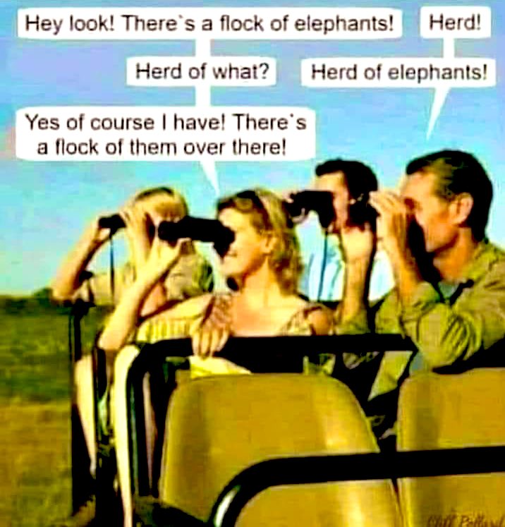 ForwardAssist1's tweet image. Operation Smile 😊