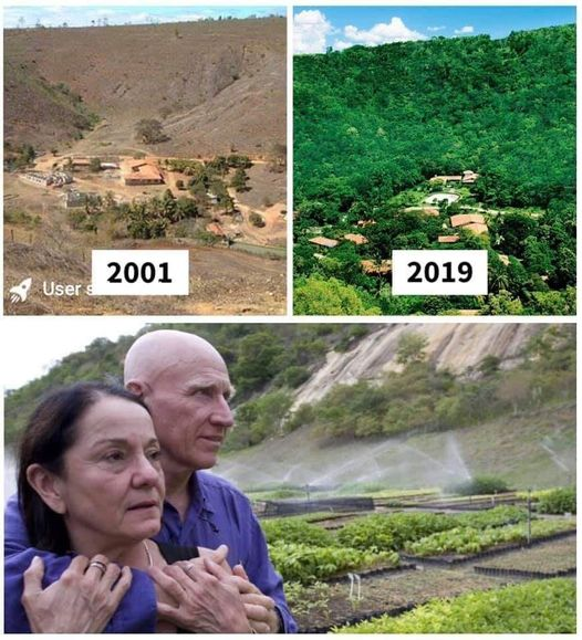 pierpi13's tweet photo. In Brasile questa coppia ha piantato 2 milioni di alberi in 20 anni.
Finora sono tornate 172 specie di uccelli, 33 mammiferi, 15 anfibi e 15 rettili. Inoltre, oltre 293 specie di piante. Lui si chiama Sebastiao Salgado. https://t.co/d7mda7iynM