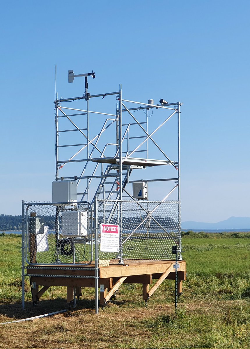 After adding few more micromet sensors on, our #bluecarbon tower looks like a serious research station! Still waiting for our customized mounting boom for #eddycovariance to come, excited!