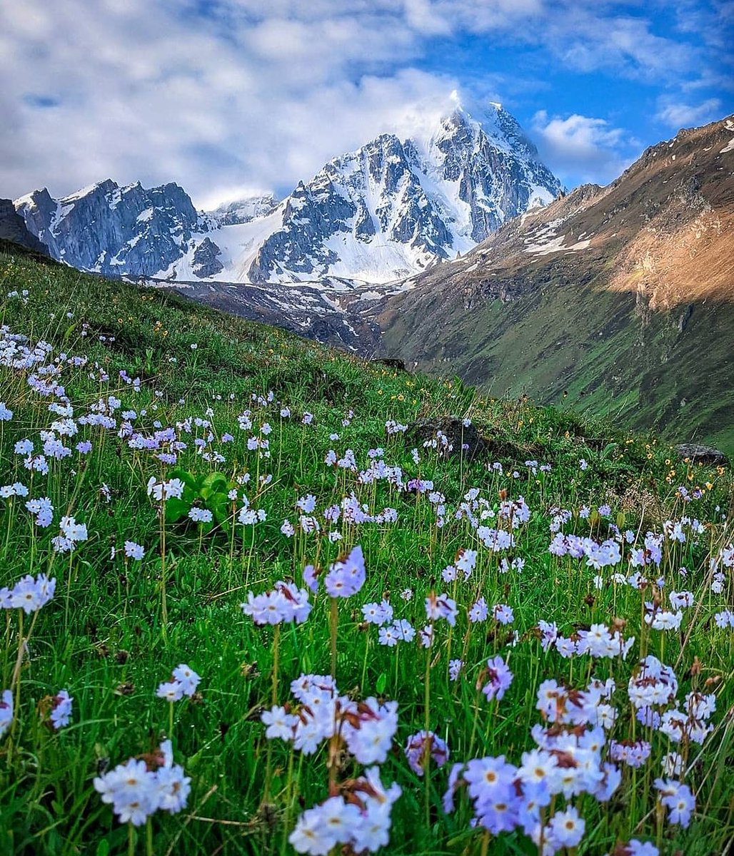 Harsil Valley 💮🌼
.
.
📸: @harshildiaries
.
#harsilvalley #dharali #harsil #harshildiaries  #uttarkashi #uttarakhand #uttarakhandheaven #himalayas #beautifuldestinations