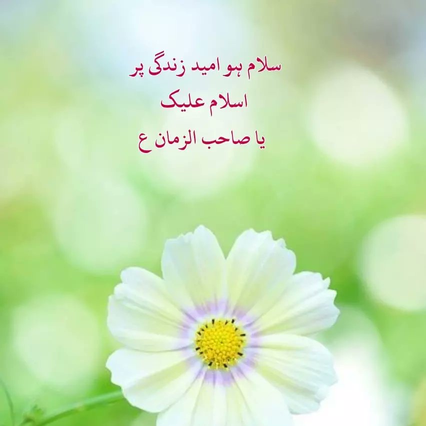 ImamkiRah2's tweet photo. https://t.co/5AY1mtKNDD