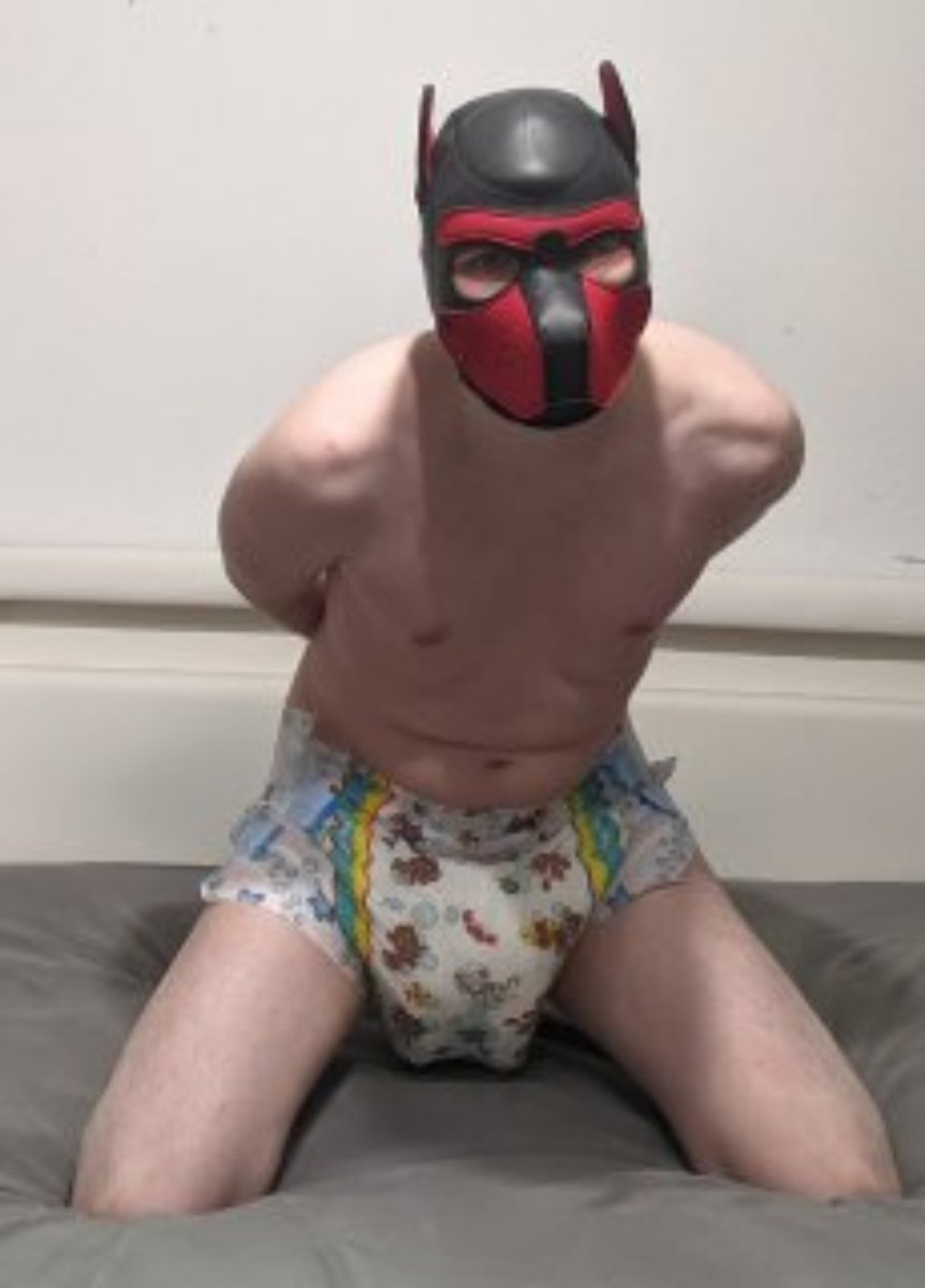 Wolf_Mathwe's tweet photo. I was so wet yesterday, like an incontinent puppy should be, my master @Yiffydragon was so pleased, he ordered me to take some pictures showing off in my wet diaper. https://t.co/wqcUjQl2Gb