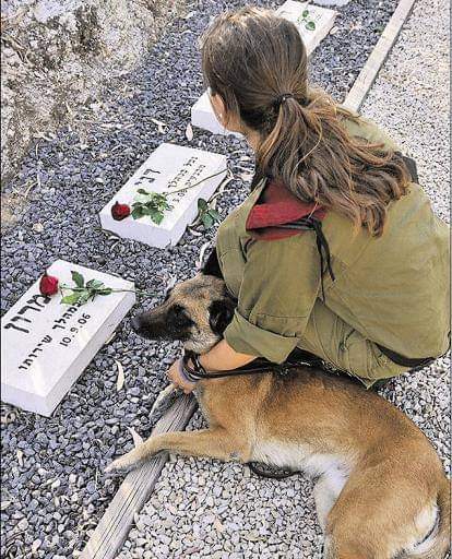 كلاب سقطت دفاعاً عن دولة إسرائيل وقد خصص لهم جيش الدفاع مقبرة خاصة