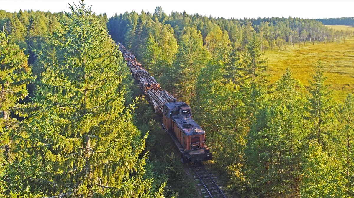 NGR_RU's tweet photo. Diesel locomotive TU6A-3841 with a log train, Udimskaya narrow-gauge railway in Arkhangelsk Oblast, northern Russia, 15.08.2021. Photo: Aleksey Kalinin. #Russia  #narrowgauge #TU6A #schmalspurbahn #transport #eisenbahn #railway #bahn #waldbahn #ужд #узкоколейка #kisvasút #ТУ6А https://t.co/N1AHZoguQY
