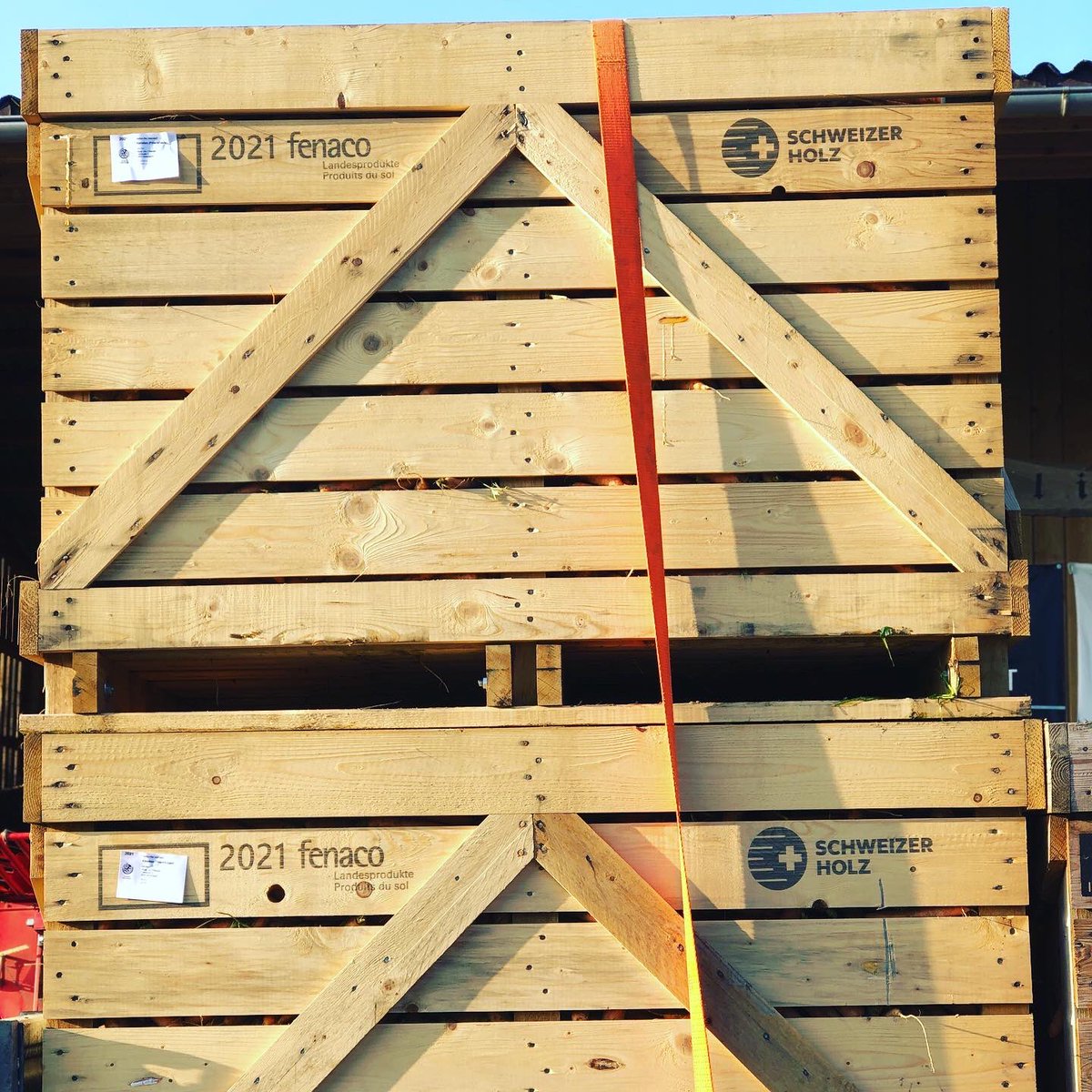 🥕-Ernte mit @SchweizerHolz Paloxen 👍🏻