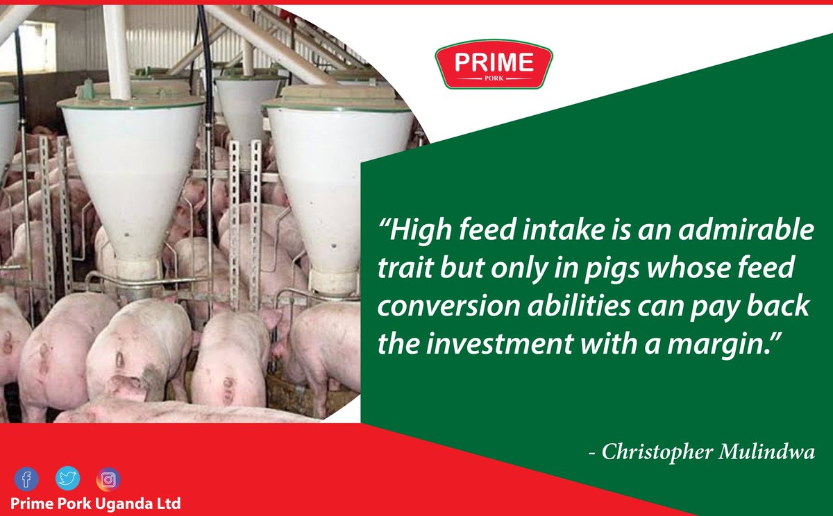 Christopher Mulindwa tweet media