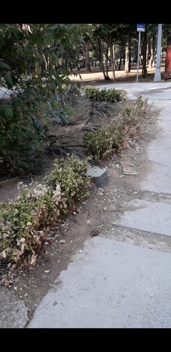 Maltepe 50. Yıl parkının bakımsızlığına bakar mısınız? <a href="/ekrem_imamoglu/">Ekrem İmamoğlu</a>  <a href="/ibbgsm/">İBB Gençlik ve Spor</a> <a href="/MaltepeBelTr/">Maltepe Belediyesi</a> <a href="/ibbyesilist/">Yeşil İstanbul 🌿</a> <a href="/iletisim/">T.C. İletişim Başkanlığı</a>