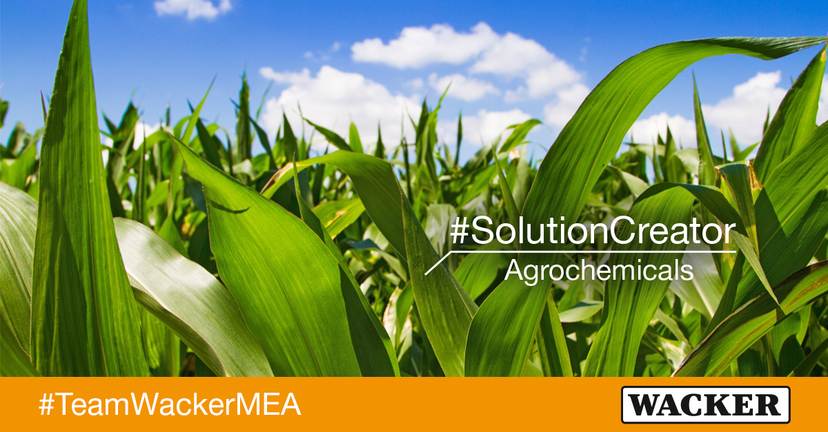 wackerchemie's tweet image. Crop production in Africa &amp;amp; the Middle East is complicated by harsh weather conditions and pests. The #SolutionCreators from #TeamWackerMEA offer a variety of solutions for the agrochemical sector, like high-efficiency antifoam agents and wetting agents: bit.ly/3gw28he