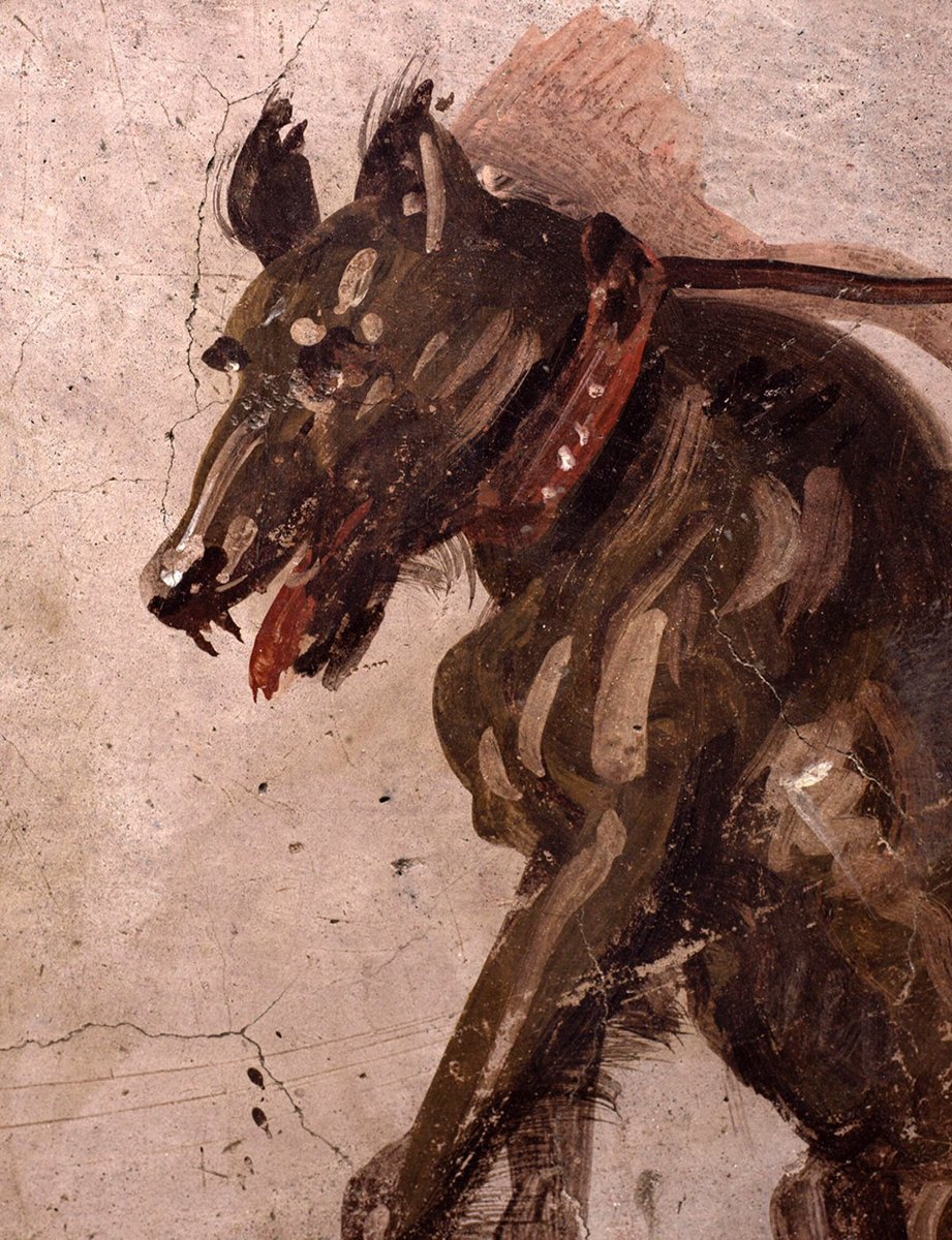 #26agosto #WorldDogDay #GiornataMondialeDelCane 
Il #cane è un animale molto rappresentato nell’#arte antica. Noi oggi lo celebriamo con una recente acquisizione dell’#archeologia: l’affresco dal termopolio di #Pompeii, reso con uno stile moderno e quasi impressionista