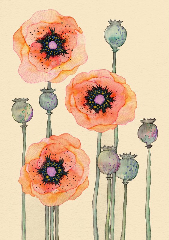 "Peach poppies' by Colleen Parker, contemporary UK mixed media artist, specialising in watercolour &amp; ink #WomensArt