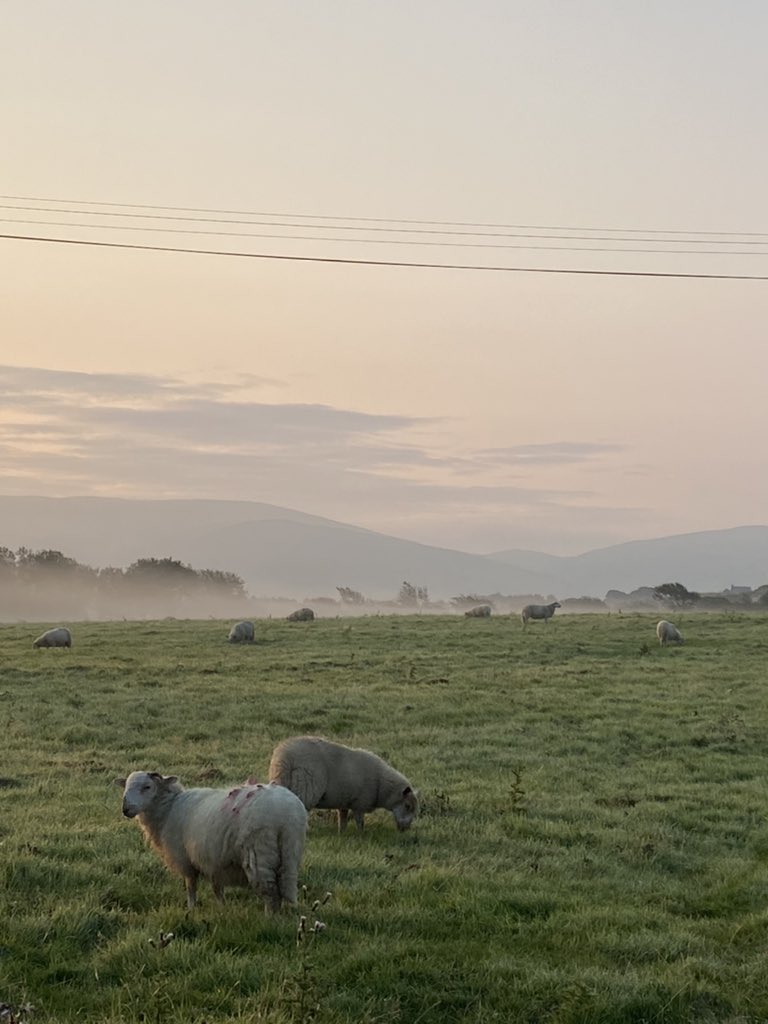Marie_Burgess1's tweet photo. Another morning, another run! Loving exploring this beautiful part of the world! #earlyrunners #earlyrun #morningrun #morningrunner #sunrise #wales #beudybodowen https://t.co/LoV3oog8Ax
