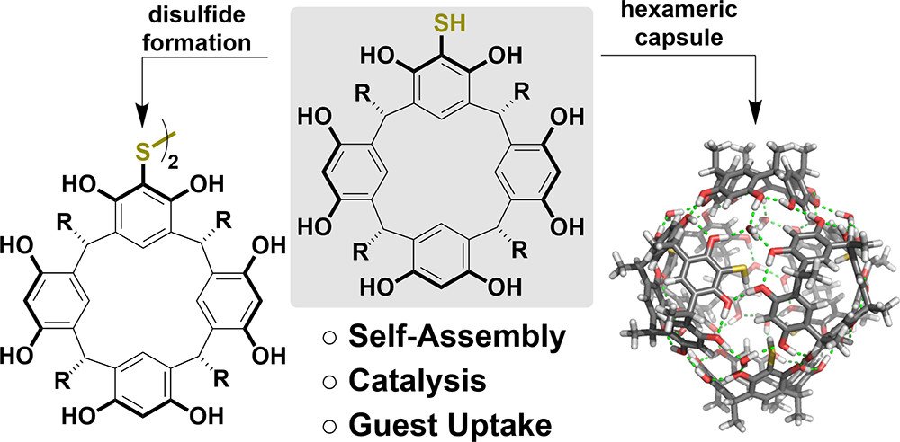 Thioderivatives of Resorcin[4]arene and Pyrogallol[4]arene: Are Thiols Tolerated in the Self-Assembly Process? A study in #OL on the influence of free thiols on self-assembly, disulfide chemistry, and catalysis. From <a href="/TiefenbacherLab/">TiefenbacherLab</a>. Check it out: fal.cn/3hIQd