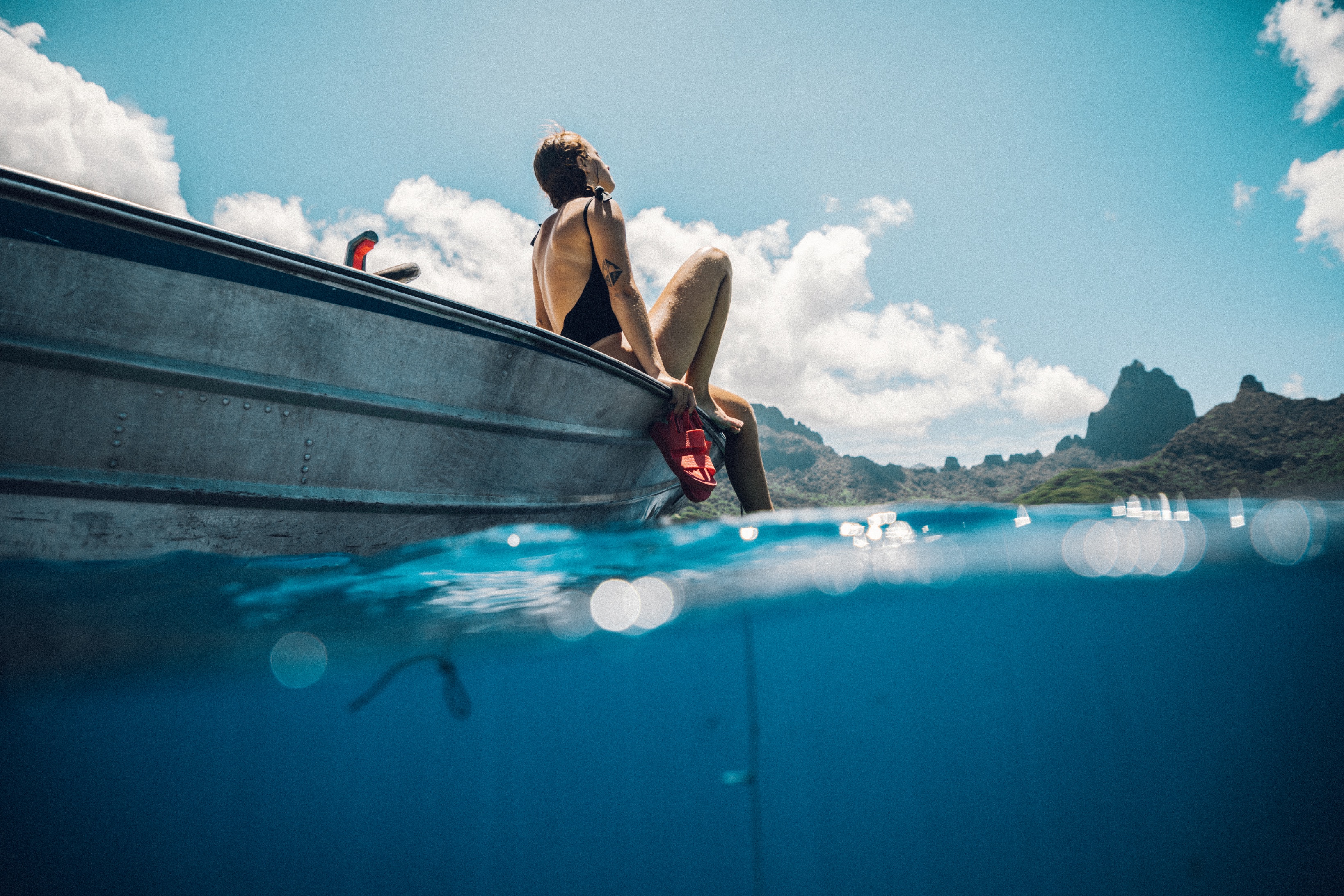 REEF JAPAN (@REEF_JPN) / X