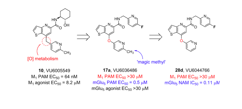 LisaBarbaro's tweet photo. New paper alert! We discuss our discovery of #MolecularSwitches within a series of mGlu5 allosteric ligands driven by an interesting 'magic methyl' effect.
https://t.co/Wlw3XxqclY @WCNDD_TN @ACSBioMed https://t.co/ZTWn552z18
