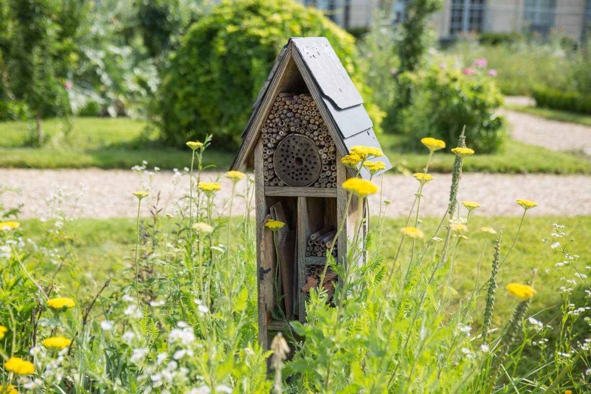 Aujourd'hui à 18h30 | Atelier-Apéro "Découvrir et agir pour la biodiversité" 💚

<a href="/happyculteur_/">Happyculteur.co</a> vous propose de découvrir les enjeux de la #biodiversité et les différentes interactions entres espèces végétales et animales en milieu urbain 😉

acteursduparisdurable.fr/fr/evenements/…