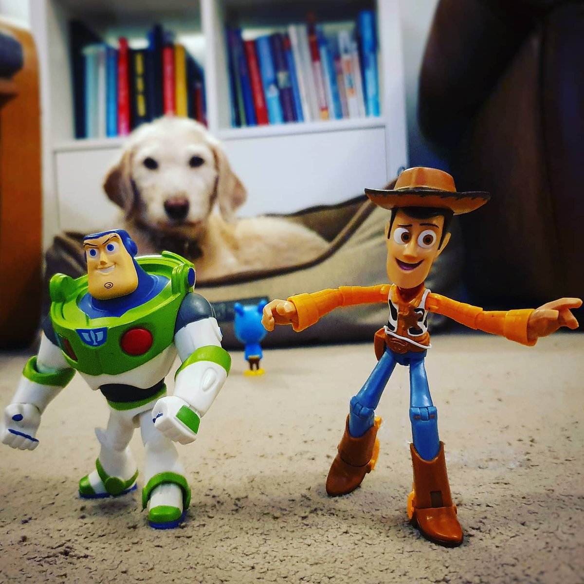 #NationalDogDay and our pooch Poppy is wondering what the toys are doing... and why Buzz and Woody have left Tag behind... <a href="/HEYDUGGEE/">HEY DUGGEE</a> <a href="/CBeebiesHQ/">CBeebies</a> <a href="/Disney/">Disney</a> #ToyStory