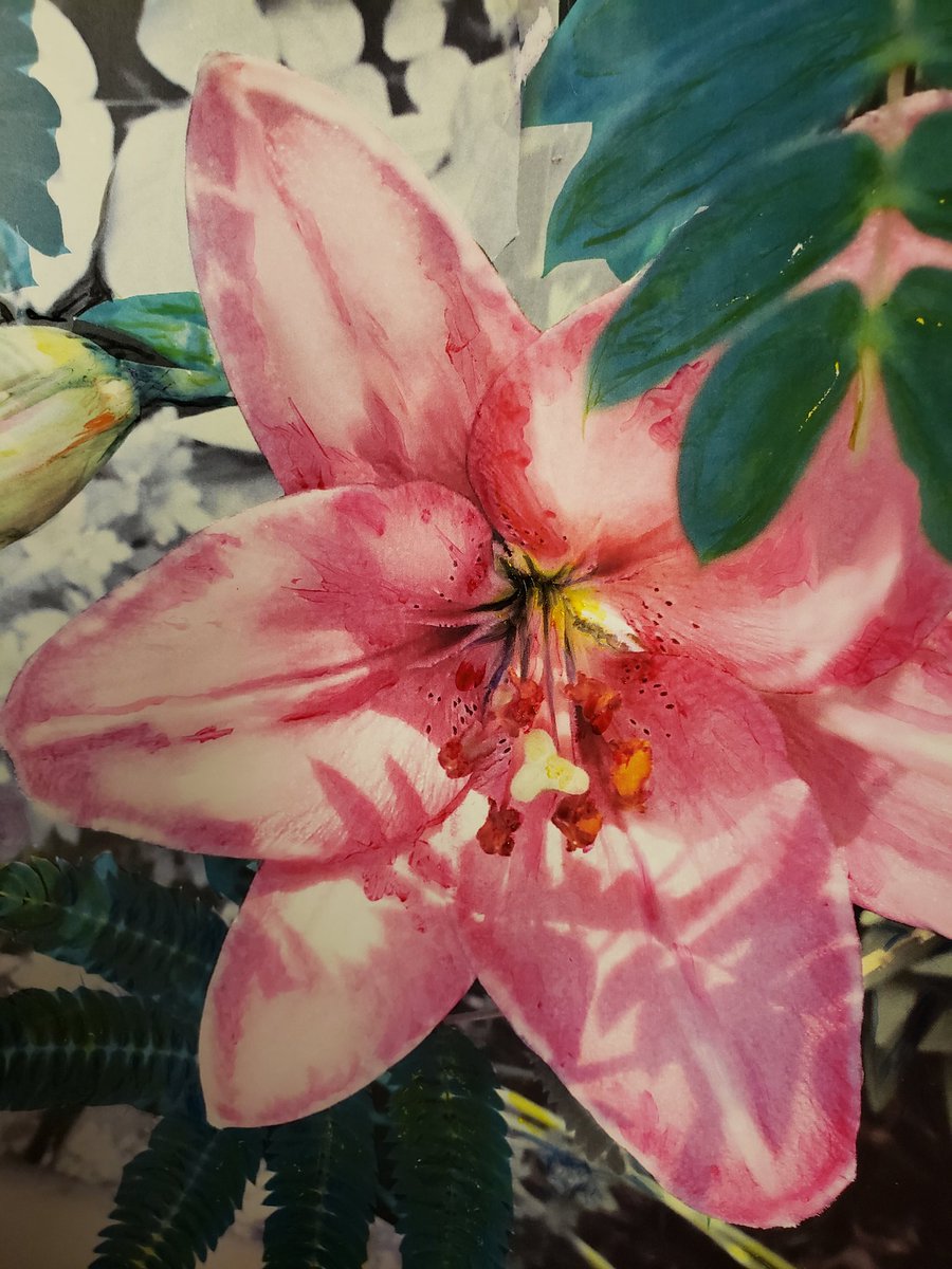 PrintInvitation's tweet image. Just finished tiger lily painting