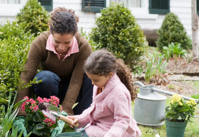 CompostAnd's tweet image. When looking for productive hobbies, people turn to gardening for several different reasons. They might garden because they want to grow their own produce. 
.
See More: happycompost.com
.
#environment #sustainability #design #architecture #gardening