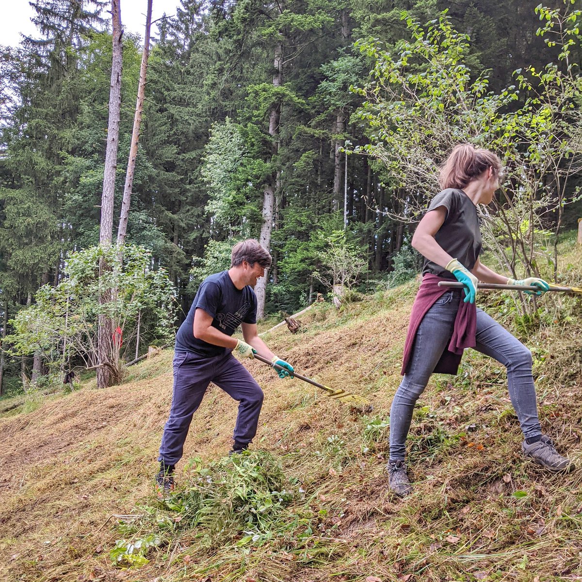 Eturnity AG tweet media