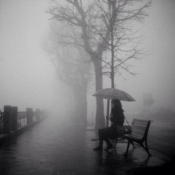 "También mueren los lugares donde fuimos felices". 
Julio Ramón Ribeyro