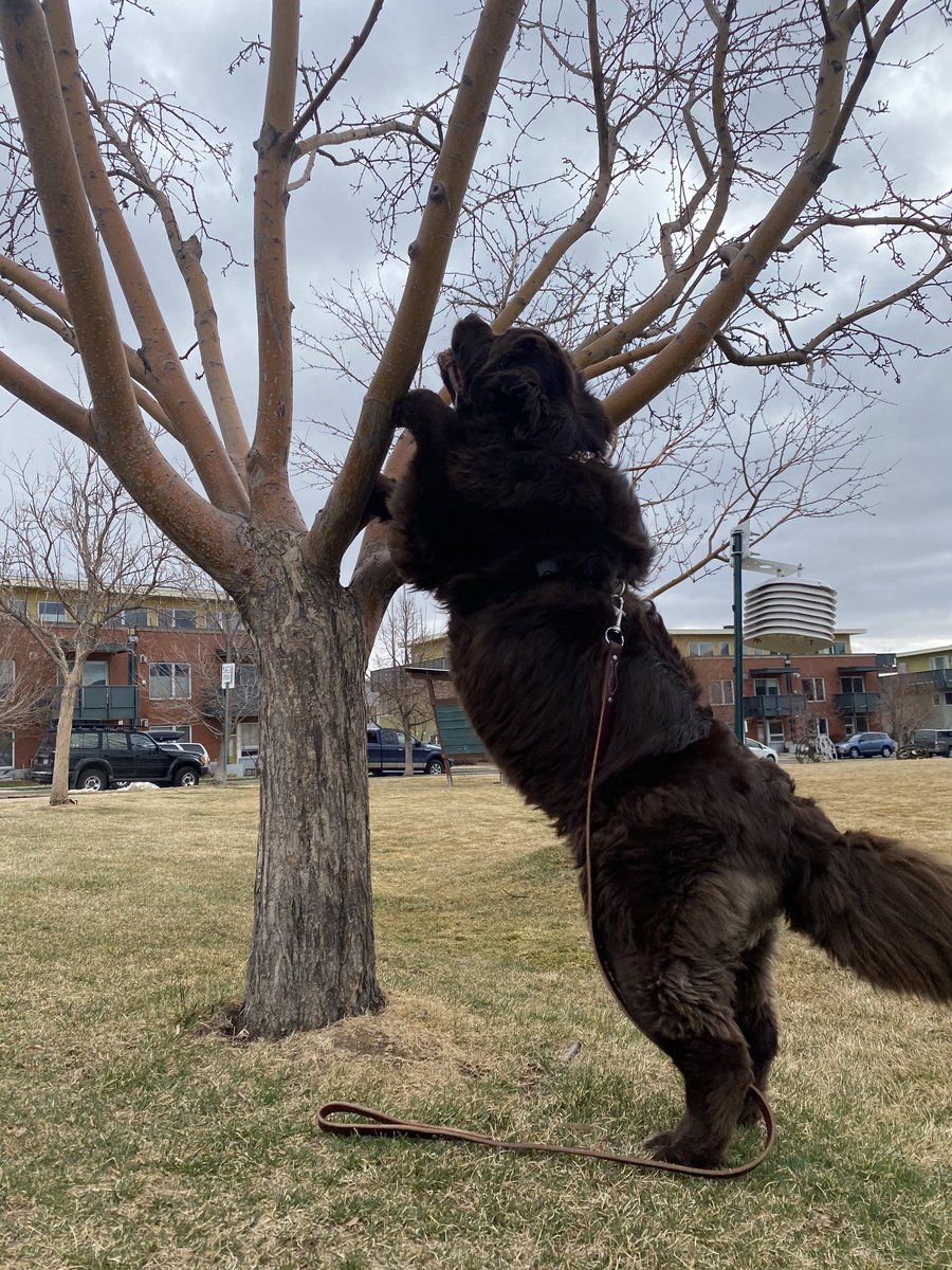 jimhooley tweet media