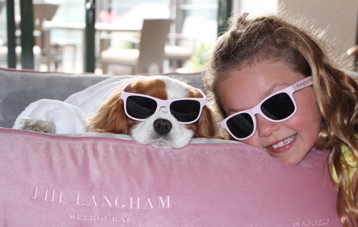 Langham_Melb's tweet photo. Happy International Dog Day. #InternationalDogDay #LovingLangham #CelebrateTheEveryday https://t.co/6e9j40Ifek