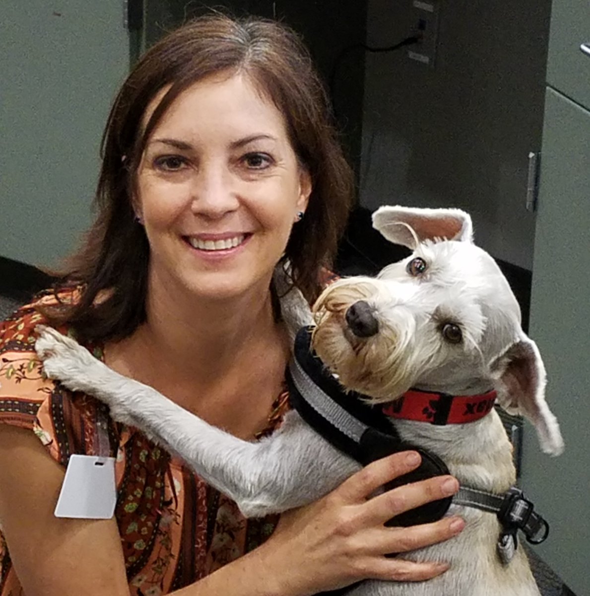 CrosbyISD's tweet photo. It's National Dog Day! Here are a few snapshots of our favorite pets belonging to @CrosbyISD staff members. We want to see your dog photos. Share them in the comments. #cougapride #thisisnow #DogDay #HappyNationalDogDay https://t.co/RUhTRPJ1s4