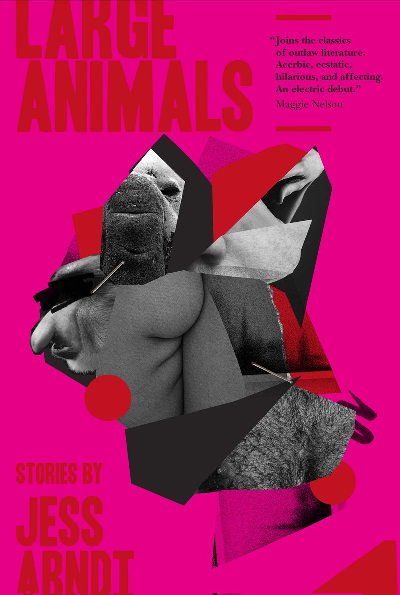 Currently reading Large Animals (pub <a href="/CipherPress/">Cipher Press</a>) by <a href="/ArndtJess/">Jess Arndt</a> and its cornucopia of identities, genders, genres and bodies is breathtaking. The joy in these stories is laced with slow-release cyanide. Teaching Kafka this year and this book will definitely inform my teaching.