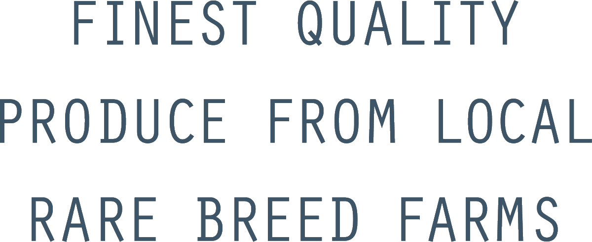 , (@rarebiteshonley) on Twitter photo 