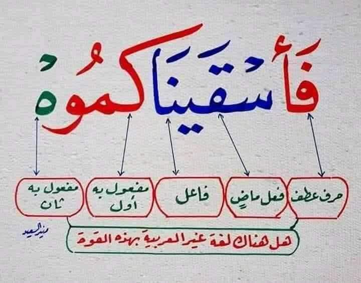 djibwriterr's tweet image. 