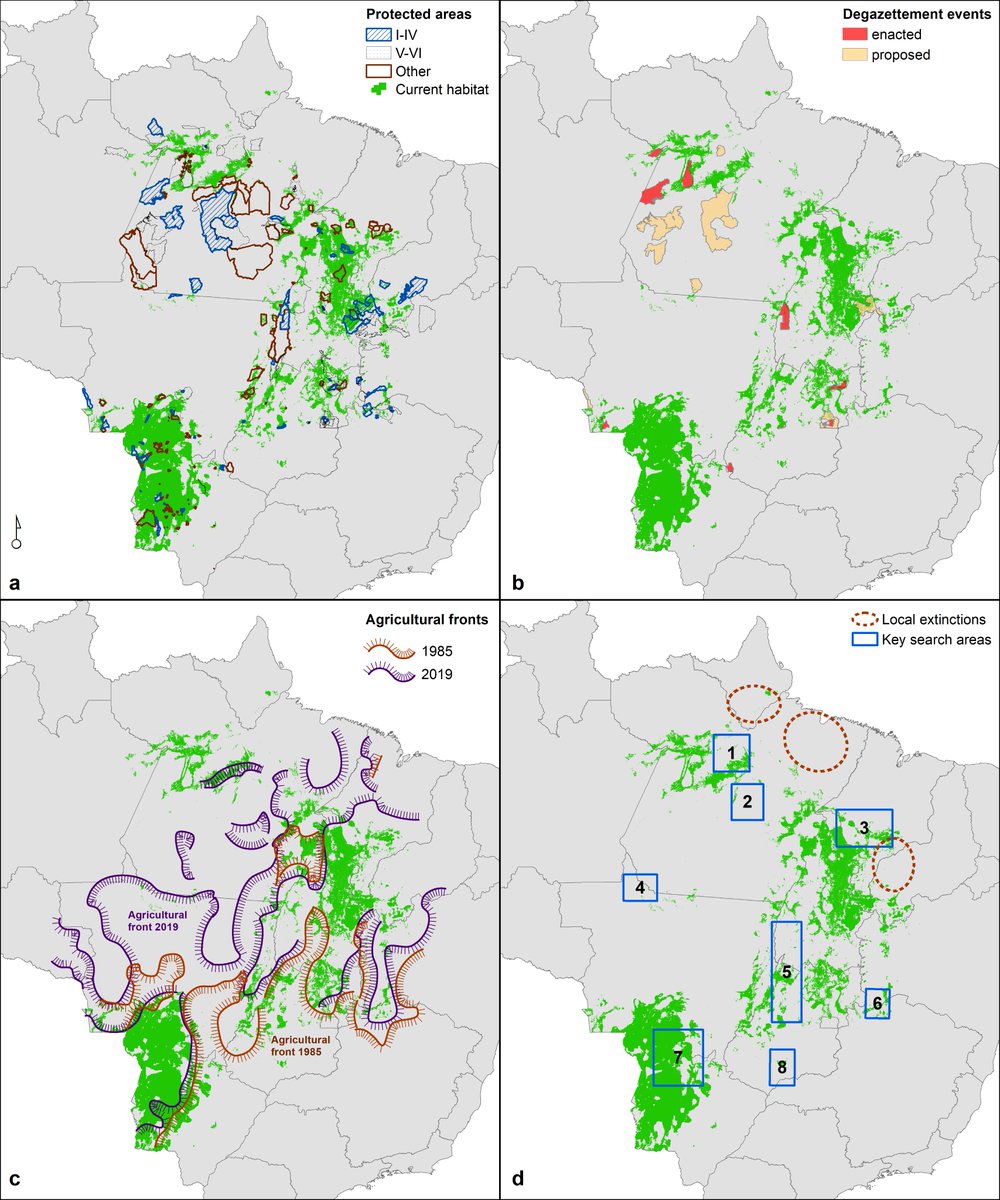 Diversity & Distributions tweet media