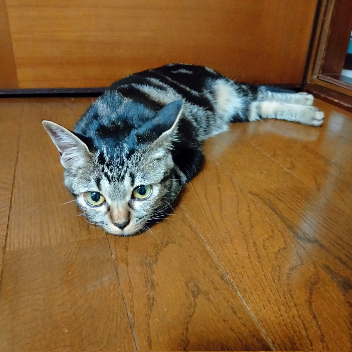 床冷たいのかな？