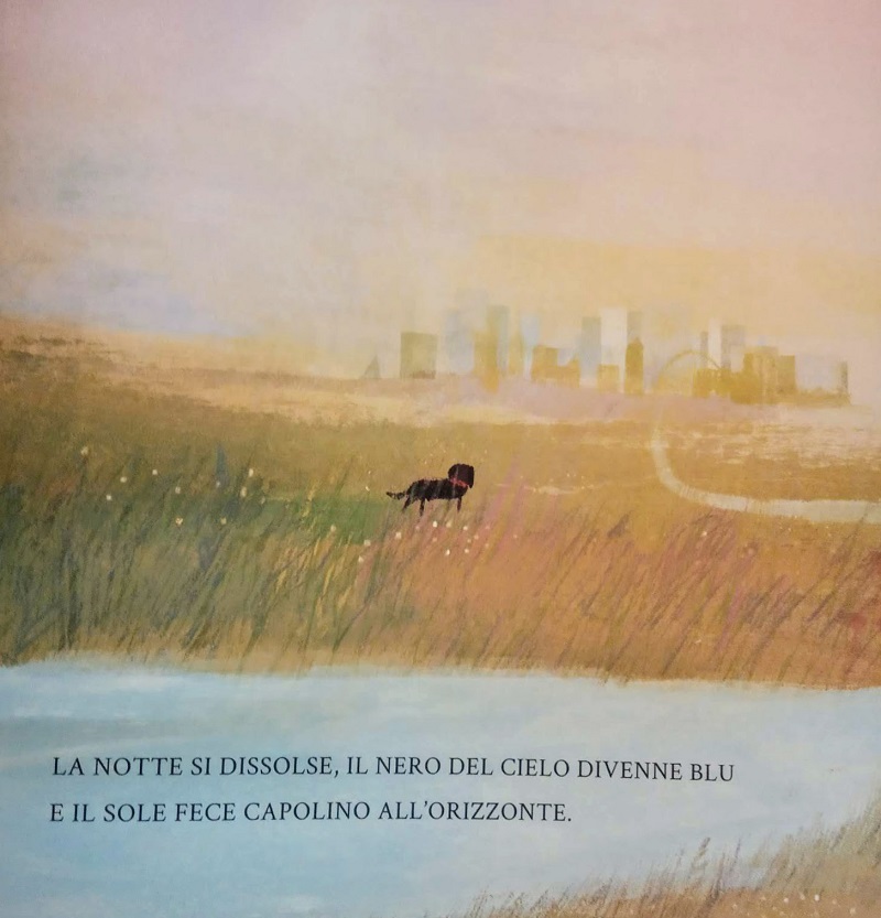 "La città è un luogo affollato, la città è un luogo rumoroso, la città è molto grande se tu sei molto piccolo."
 
Perdù di Richard Jones, edito da <a href="/nomosed/">Mosu</a>
 
da 3 anni
Leggi su libriperbambinieragazzi.it

#GiornataMondialeDelCane 
#26agosto