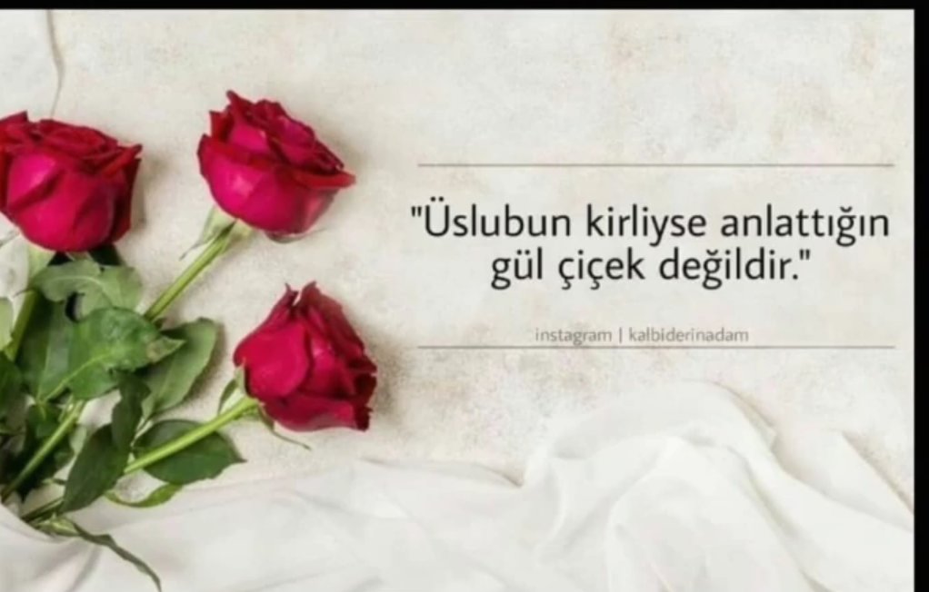 Besime Şahin (@besimeahin3) on Twitter photo 