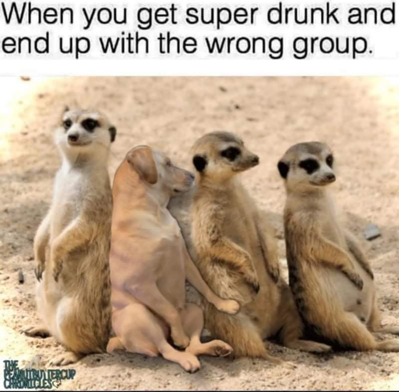 GoofyGiri's tweet image. #lifestyle #thursdayvibes 
#lockdownhumour 
🙆😊🇮🇳