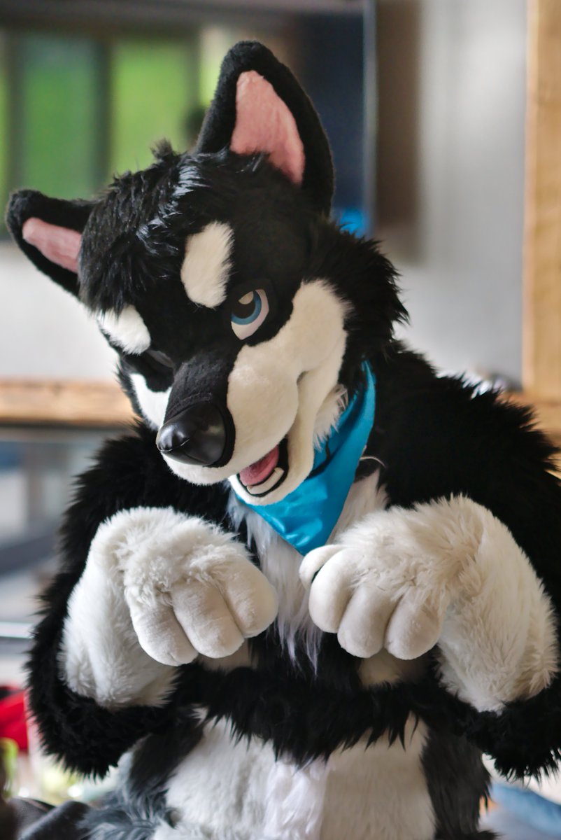 So apparently it's #WorldDogDay so have the best kind of dog :3

📸@Counetail