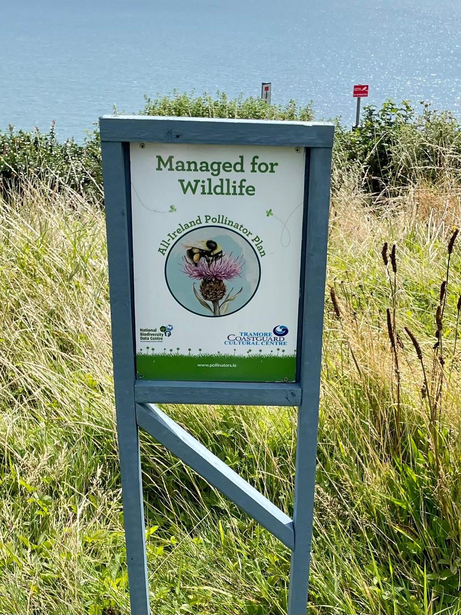 We’ve created a new pollinator friendly zone in our garden.
Pollinators are responsible for approximately three-quarters of our essential food crops and we’re delighted to do our small part for our planet.

#Pollination 
#CoastguardCulturalCentre
#Tramore #CoastguardCafe