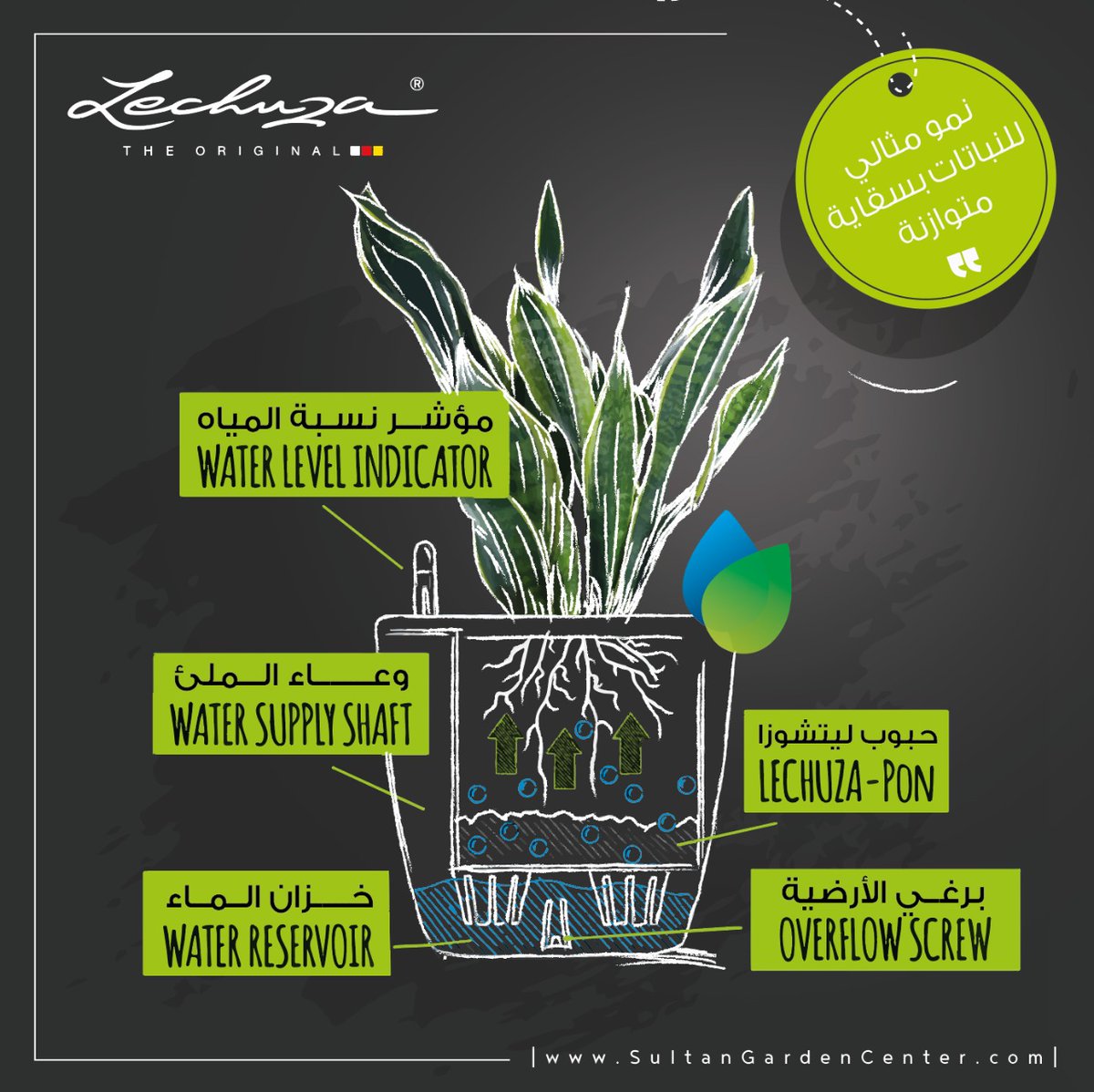 "أحواض ليتشوزا الألمانية تعطي مظهر أنيق ومودرن للمكان.. بنظام السقاية الذاتية أفضل الحلول عند تواجدك بعيداً عن منزلك أو مكتبك فترات طويلة" 
.. 
#حدائق_السلطان🌱

يمكنكم الاطلاع على التشكيله كاملة من خلال الرابط التالي 👇

sultangardencenter.com/self-watering-…