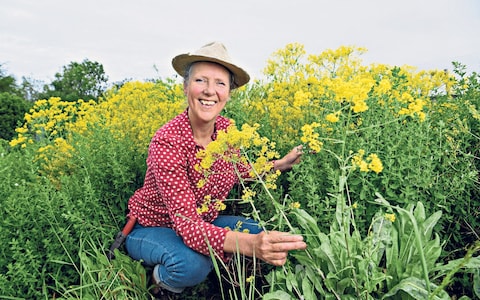 How can we go forward to the land? <a href="/CommonFlora/">Common Flora</a> has a model, producing herbs, fruits &amp; living soil. They're pitching at #CommunityofDragons for support on Sep 5th - come out &amp; help them grow. 
@TTTotnes <a href="/NetwrkWellbeing/">Network Of Wellbeing</a> <a href="/TorbayCDT/">Torbay Communities</a> <a href="/HuxhamsCrossFrm/">The Apricot Centre @ Huxhams Cross Farm</a> <a href="/foundationfarms/">New Foundation Farms</a> <a href="/landartagency/">landartcollective</a>