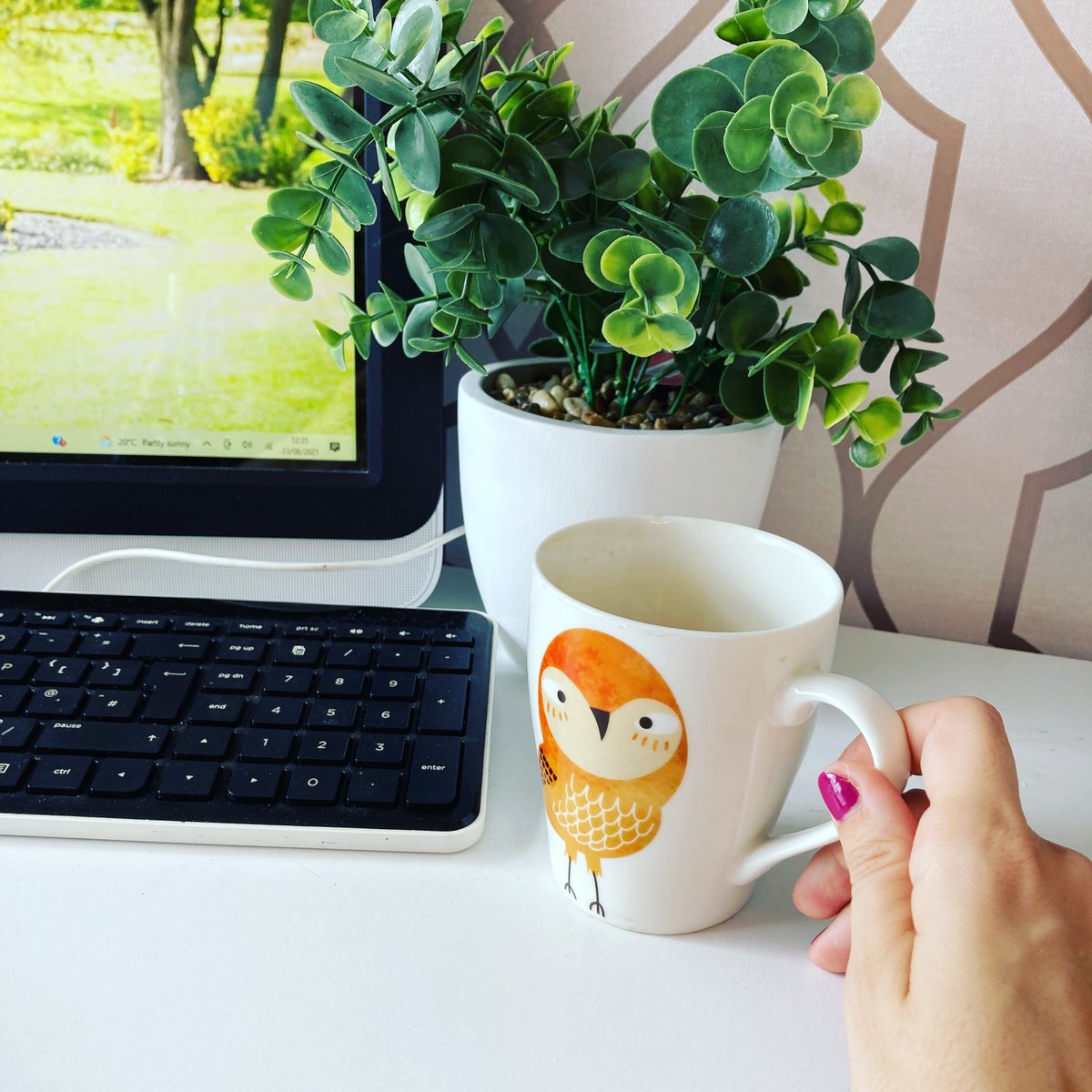 coconut_box's tweet photo. Good morning ☕️🥥 Happy Thursday! 
-
If you’d like to discuss support with managing your #socialmedia profiles or  you’d like to know more about updating your #website, send us a message now. https://t.co/zVOZL8R2eW