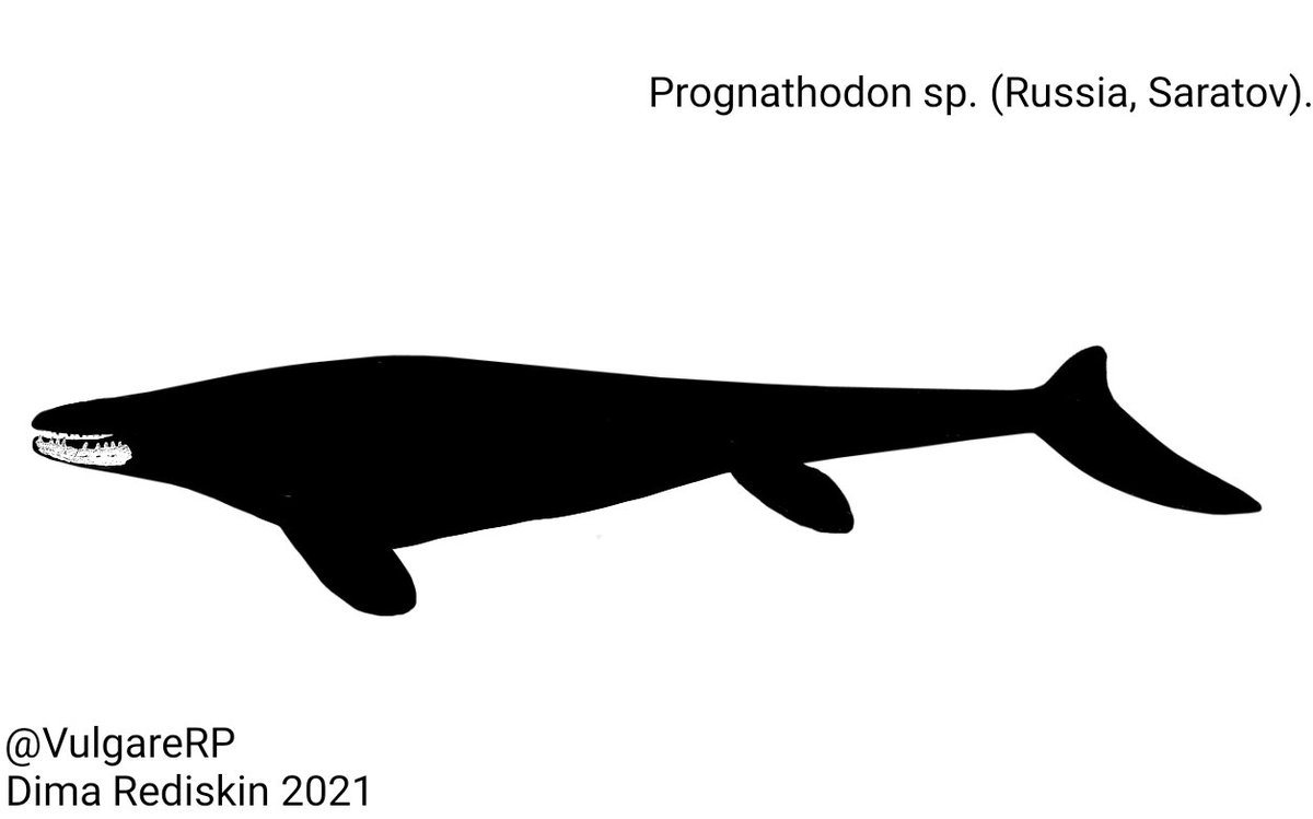 VulgareRP's tweet photo. I feel that I will devote the main skeletals to the fauna of Russia. https://t.co/Bevz1CPimB