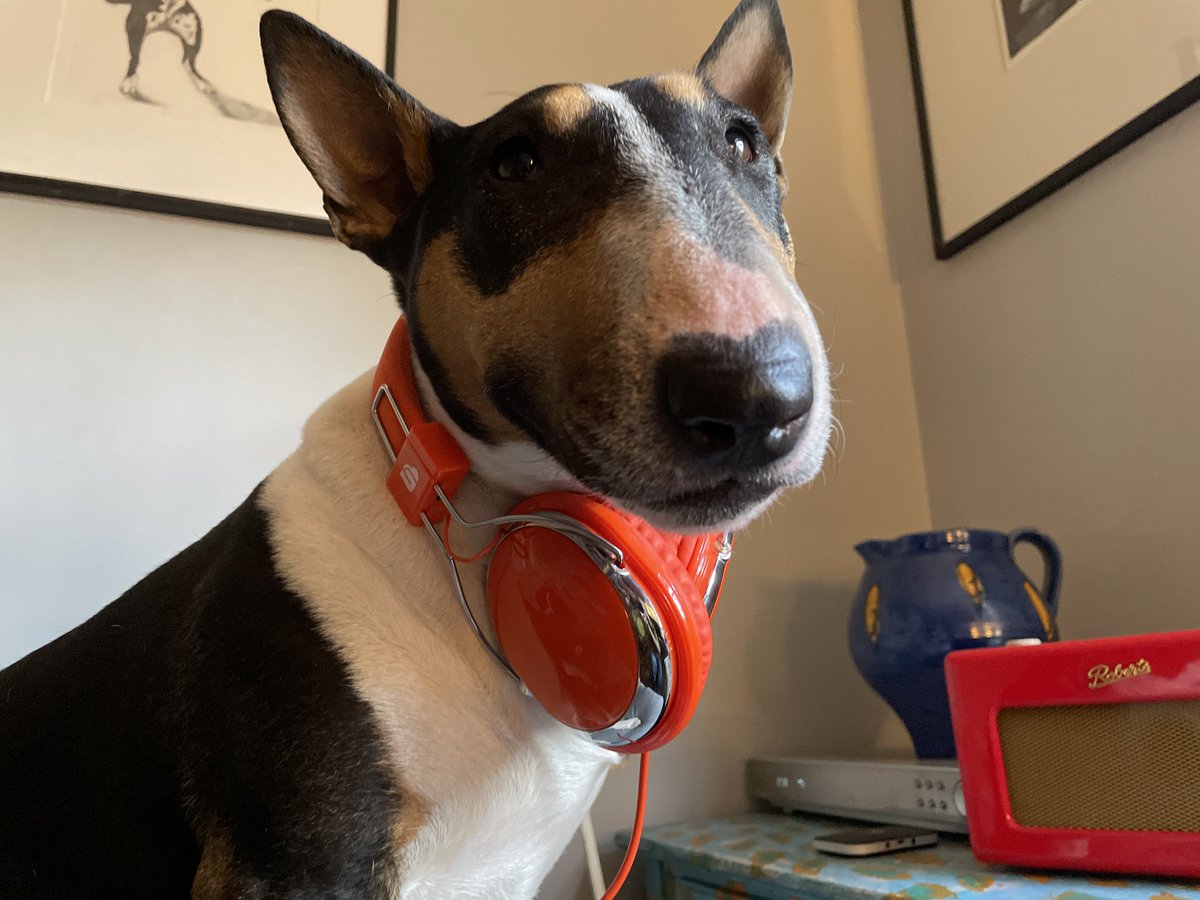 annawebbdogs's tweet photo. Grab your headphones! 
Tune into The Barking Hour 2.30-3.30pm @BBCRadioLondon 
With updates about Pen and his team @nowzad to talking about raising the age of puppy imports, plus we're discussing doggy dementia with Dr Huw Stacey 
@Vets4PetsGroup 
#Radio #TuneIn #NationalDogDay https://t.co/RvAgUbpcwn
